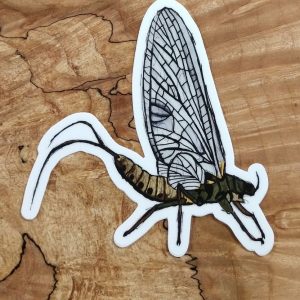 Mayfly Sticker